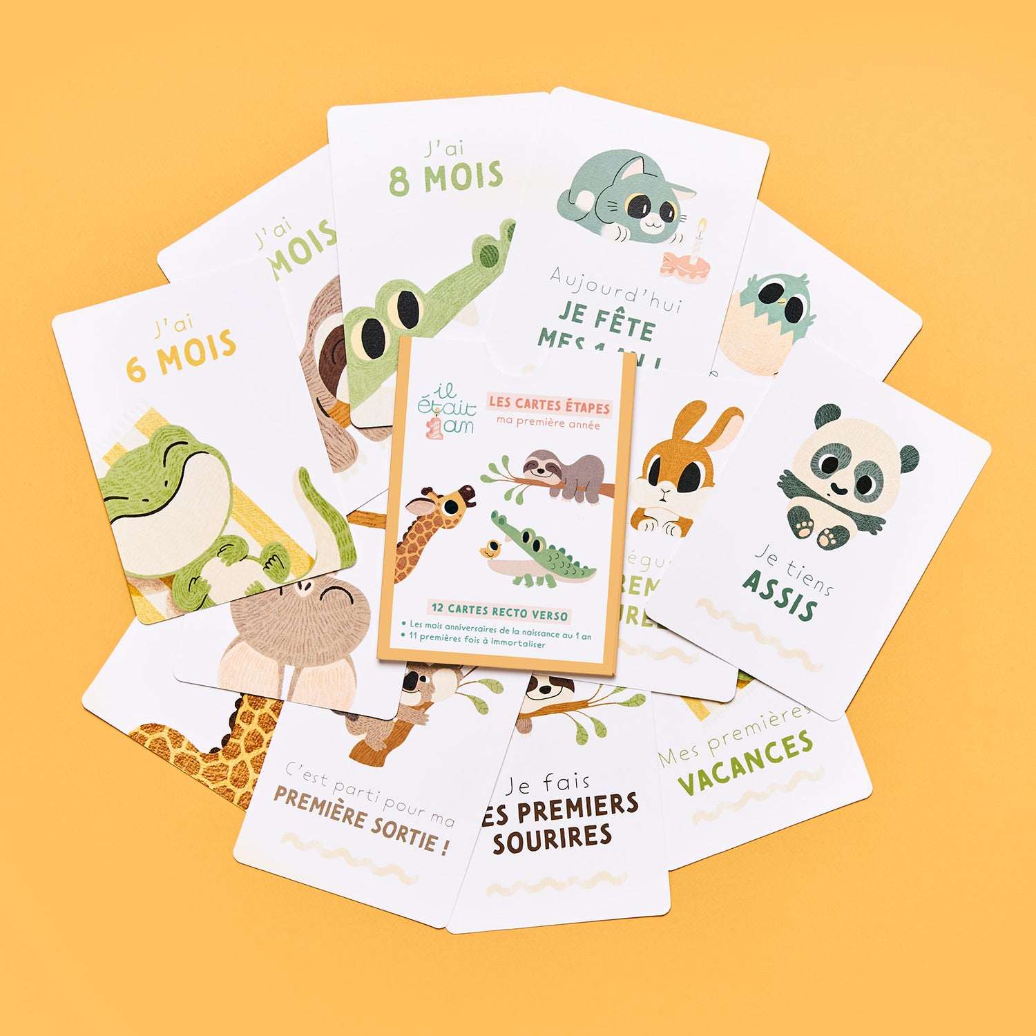 Kit cartes étapes bébé Jungle, animaux Première année bébé Photos