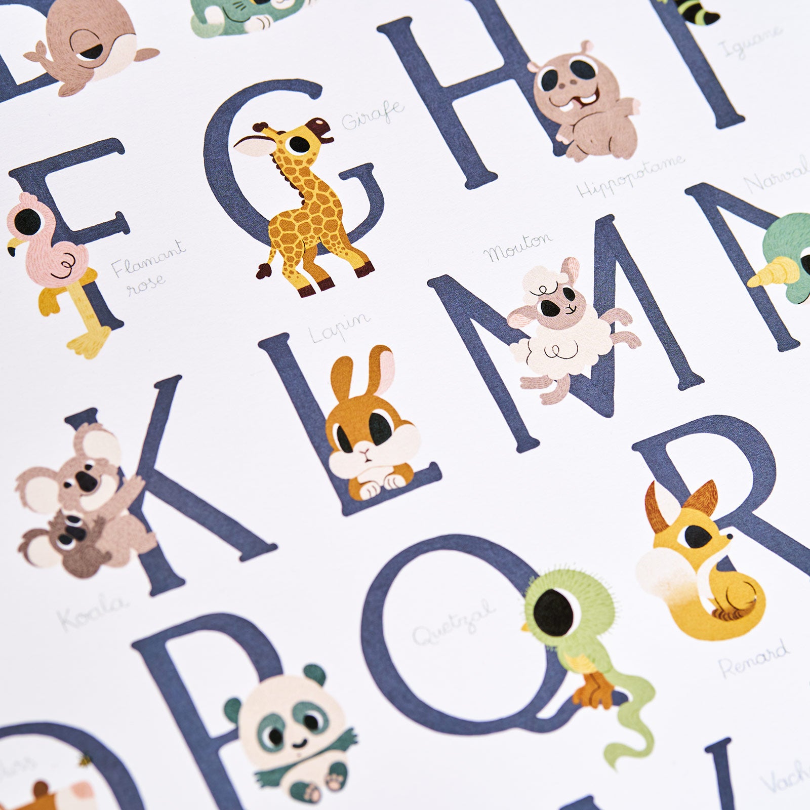 alphabet avec animaux