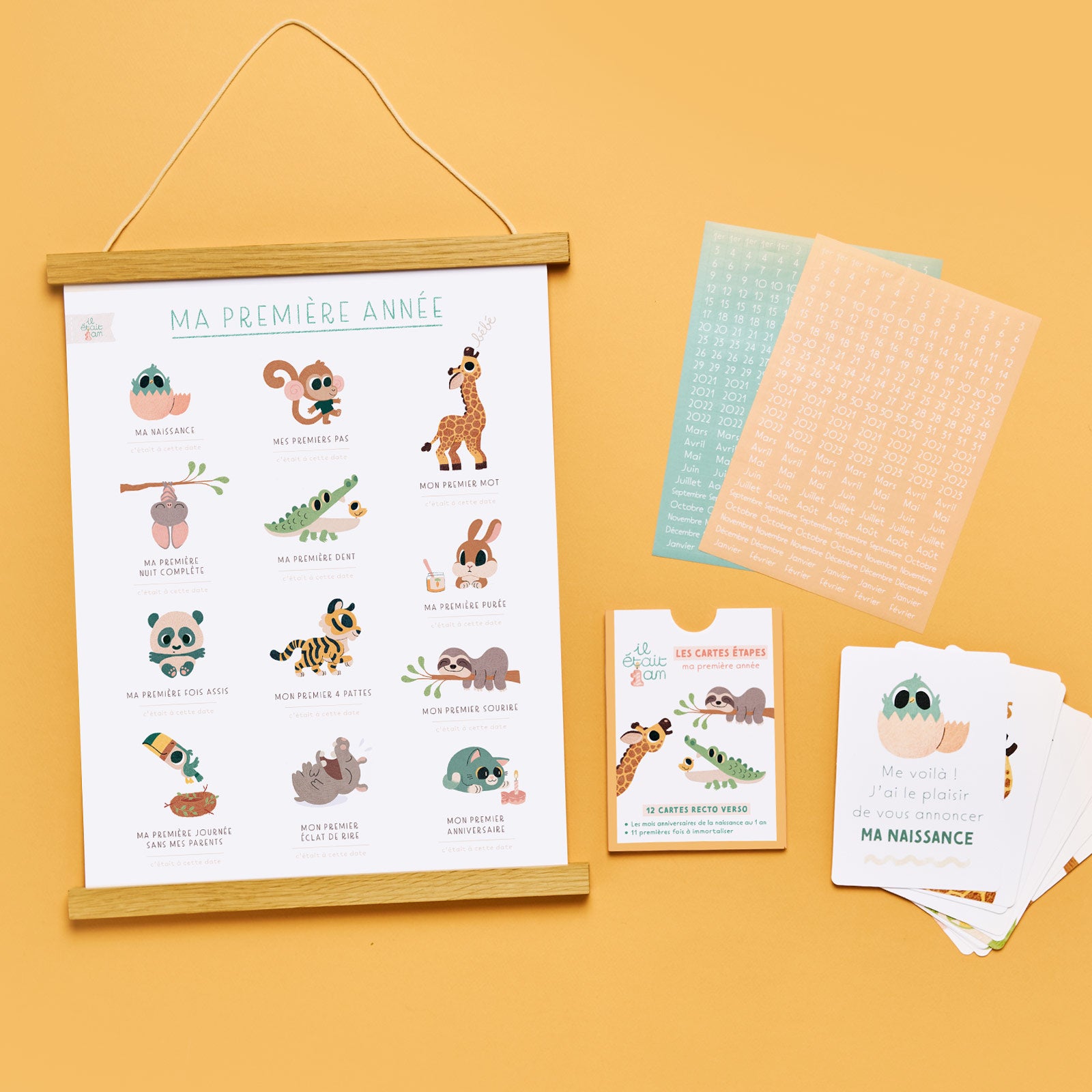 Kit cartes étapes bébé Jungle, animaux Première année bébé Photos